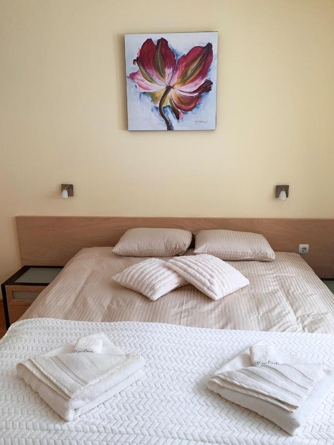 Ski Area 202 Apt, The Castle 1, Pamporovo Ngoại thất bức ảnh