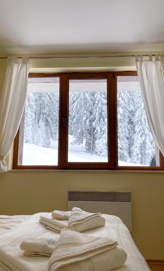 Ski Area 202 Apt, The Castle 1, Pamporovo Ngoại thất bức ảnh