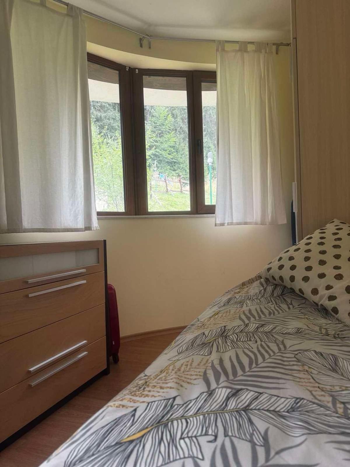 Ski Area 202 Apt, The Castle 1, Pamporovo Ngoại thất bức ảnh